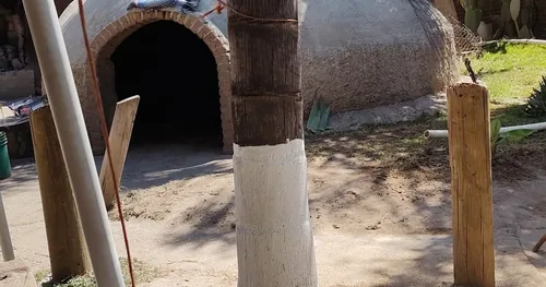 Temazcal del Arroyo, negocios en Durango, Durango