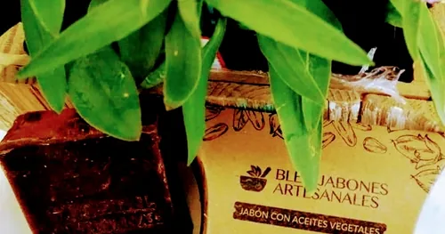 Casa Jaguar Meditacion & Spa Holistico, negocios en Nogales, Sonora