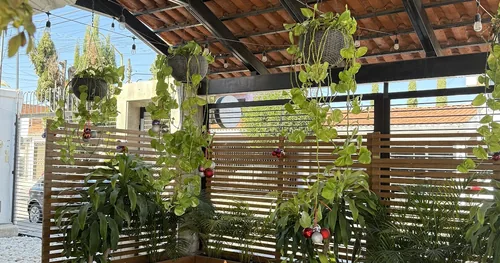AMAYA Temazcal Bienestar, negocios en Aguascalientes, Aguascalientes