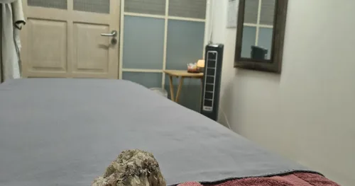 Cabina y Spa Zell Wellness Coyoacán, negocios en Coyoacán, Ciudad de México