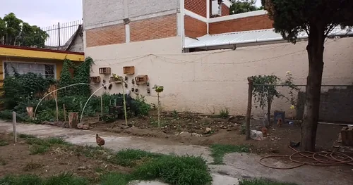 Temazkal Tecomitl Barrio Nahual, negocios en Milpa Alta, Ciudad de México