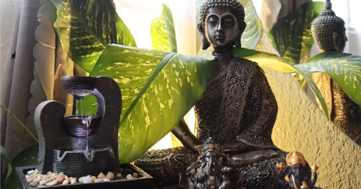 Haim Spa, Wellness Spa – CDMX