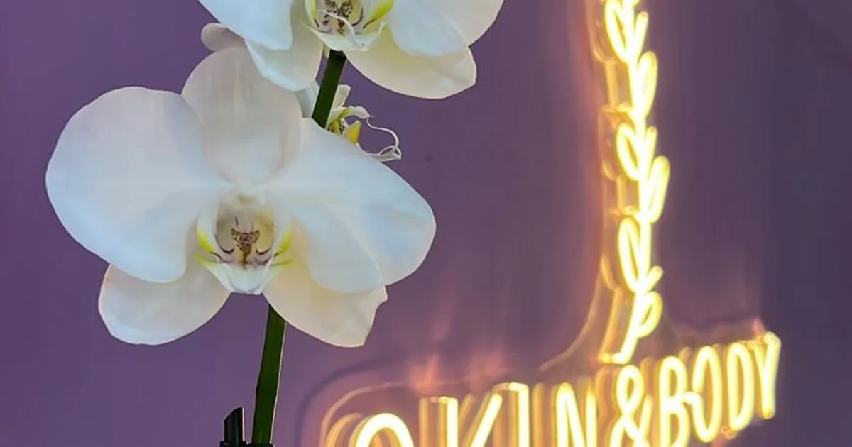 Skin & Body Spa Insurgentes