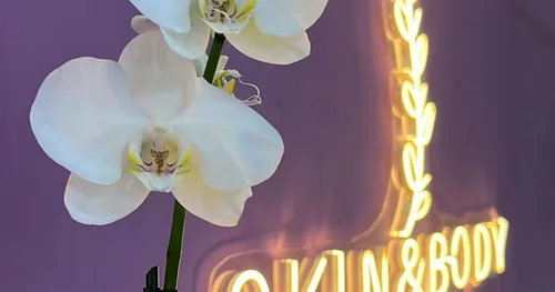 Skin & Body Spa Insurgentes, negocios en Tlalpan, Ciudad de México