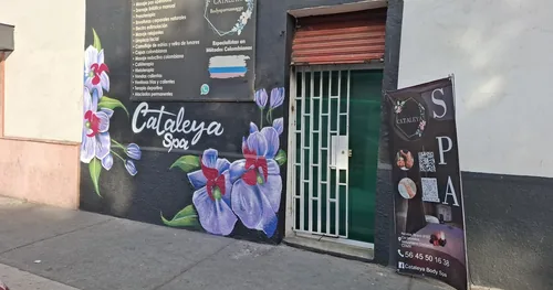 Cataleya Body Spa, sPA en Venustiano Carranza, Ciudad de México