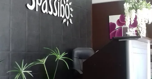 Spassibo Spa, negocios en Celaya, Guanajuato