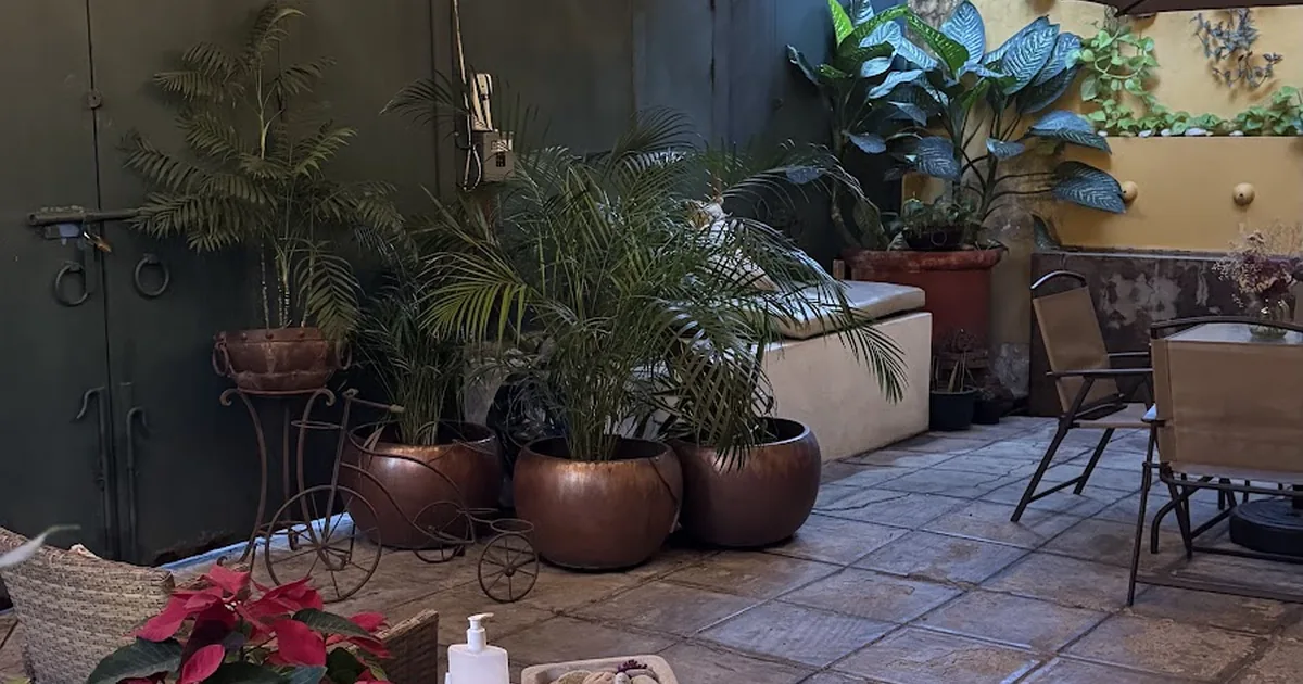 Mond Massage – Terapias Spa y Masajes Terapéuticos