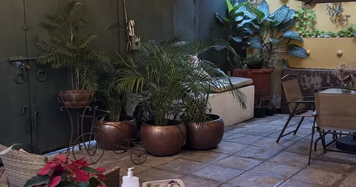 Mond Massage – Terapias Spa y Masajes Terapéuticos, negocios en Guadalajara, Jalisco