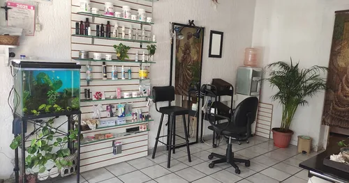 Luna Spa, negocios en Guadalajara, Jalisco