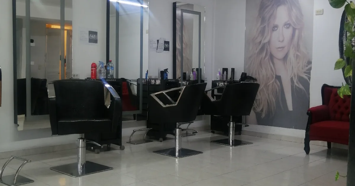 V &V Asesores en Belleza