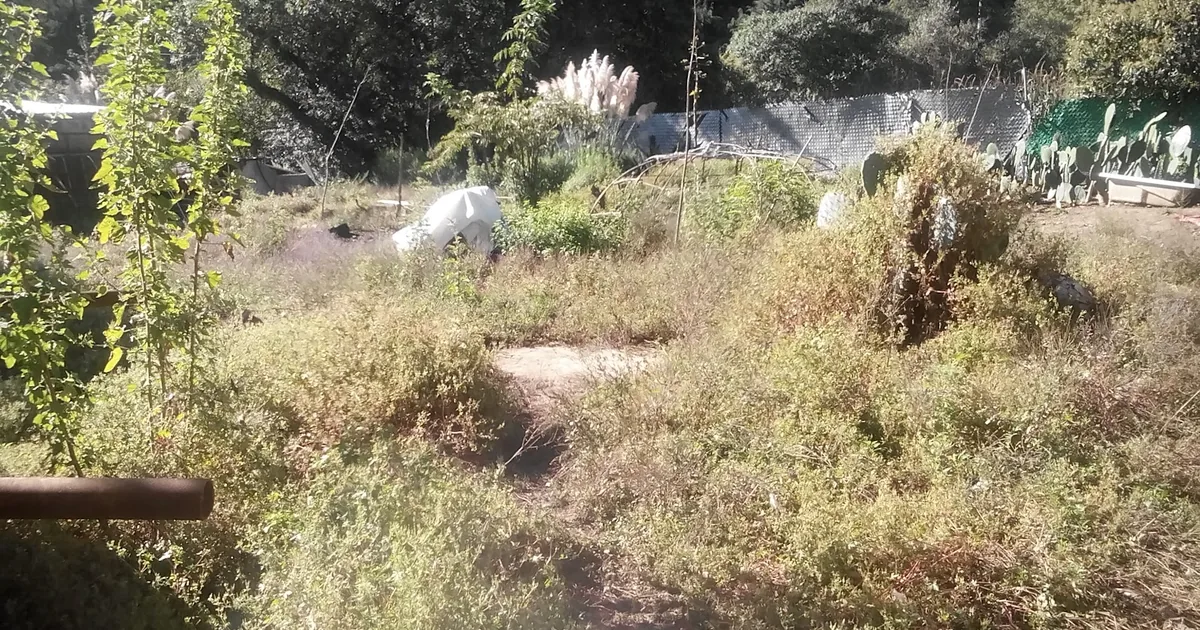 Temazcal Iquiza Tonatiuh