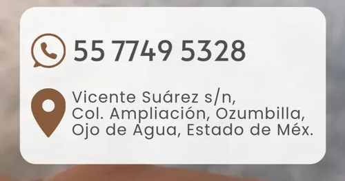 Tesla Spa, negocios en Tecámac, Estado de México