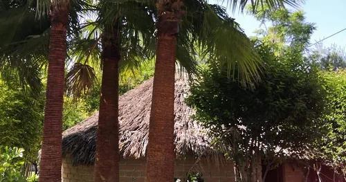 Centro de Sanación y Temazcal Tlaxinca, negocios en Teotihuacán, Estado de México