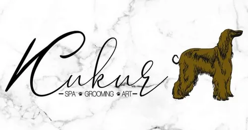 Kukur spa, negocios en Tepic, Nayarit