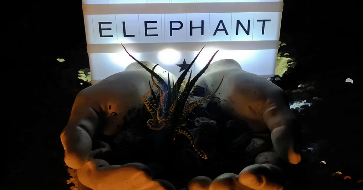 SPA ELEPHANT