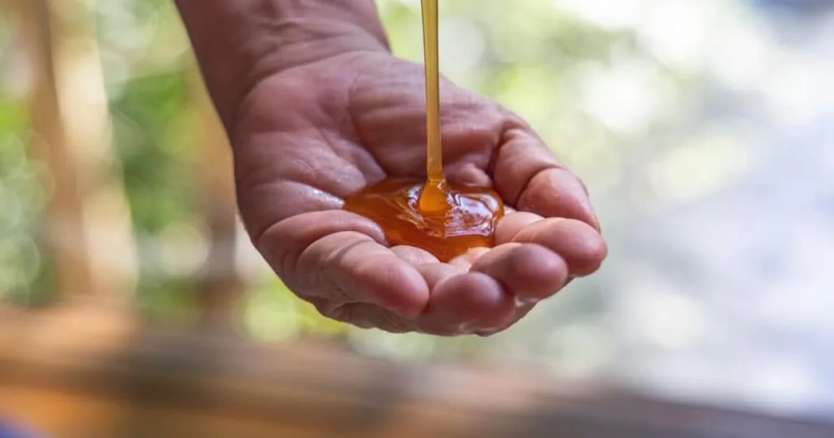 Spa Agua Dulce Campeche. «Bienestar por medio de manos»