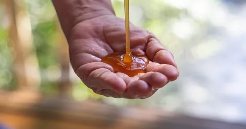 Spa Agua Dulce Campeche. «Bienestar por medio de manos», negocios en Campeche, Campeche