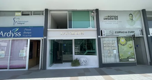 HARMOONY, negocios en Pachuca, Hidalgo