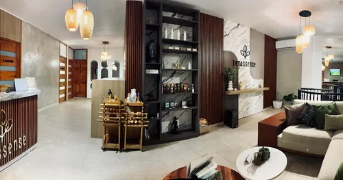 Renassense Spa, negocios en Lázaro Cárdenas, Michoacán