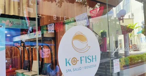 SPA KO FISH – CUERNAVACA | Masajes, Ictioterapia, Manicure, Pedicure, Hidromasaje, negocios en Cuernavaca, Morelos