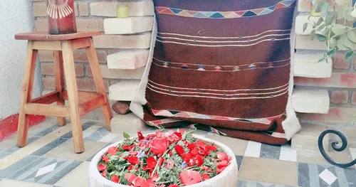 Masajes Nativo Spa Oaxaca (Prehispanic Massage Techniques), negocios en Oaxaca, Oaxaca