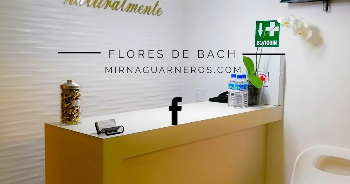 Spa Terapéutico Mirna Guarneros