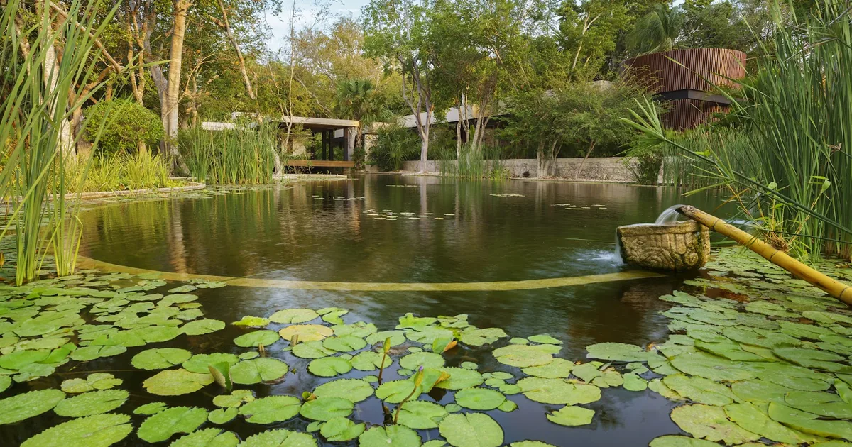 Angsana Spa Mérida