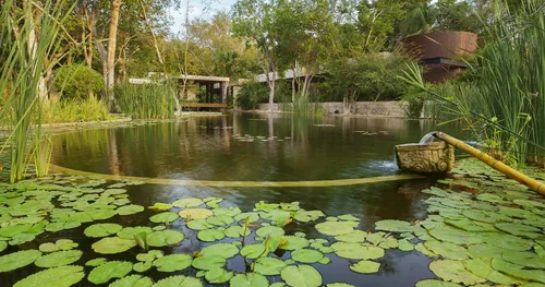 Angsana Spa Mérida, negocios en Mérida, Yucatán