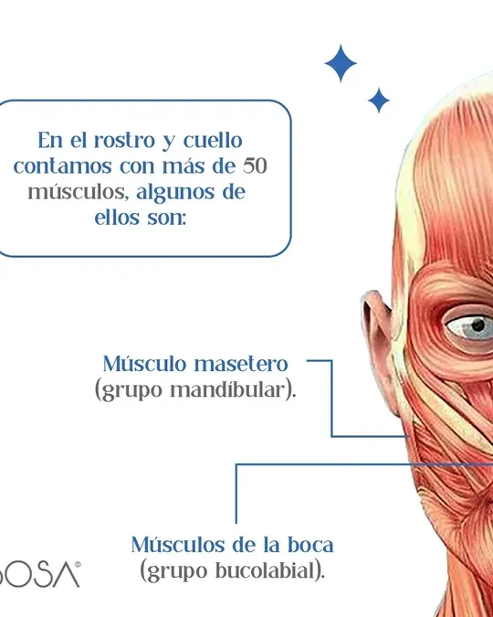 BOSA SPA® · foto 1