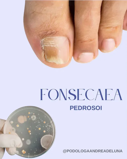 Pedimedic Podologia · foto 3