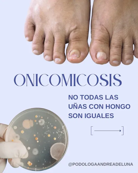 Pedimedic Podologia · foto 4
