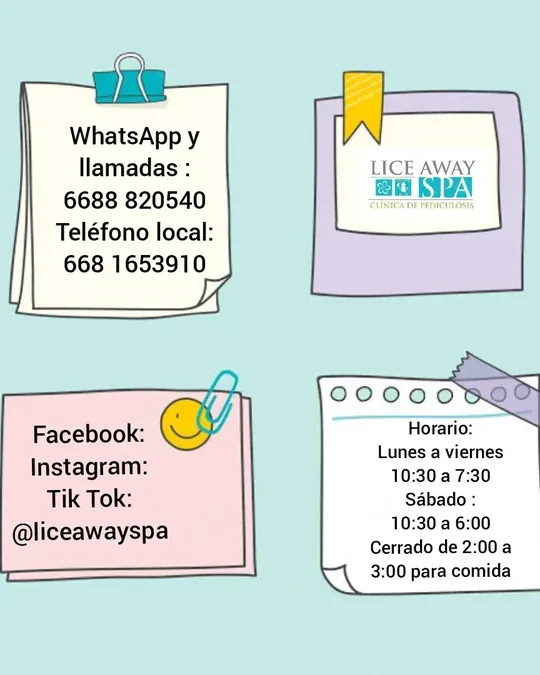 Lice Away Spa · foto 1