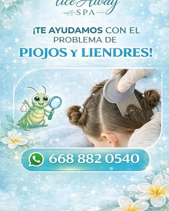 Lice Away Spa · foto 3