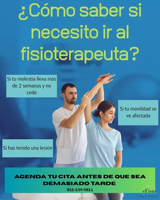 eFisio DS · foto 1