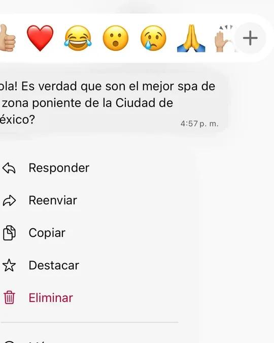 SENSEBENE PORTAL CENTENARIO · foto 4