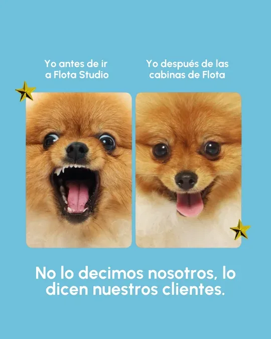 Flota Studio · foto 3
