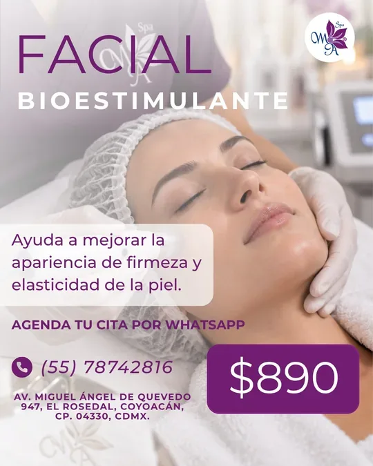 Model Art Spa Coyoacán · foto 2