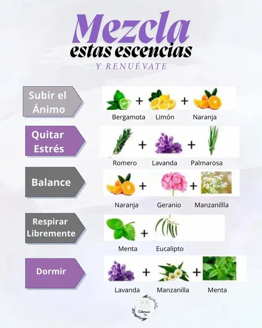 Calemsan spa · foto 4