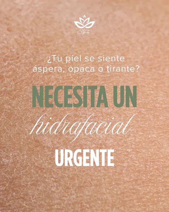 B-ELITE SPA JUÁREZ · foto 4