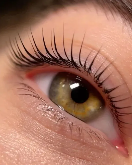 Clarissa Beauty Studio · foto 4