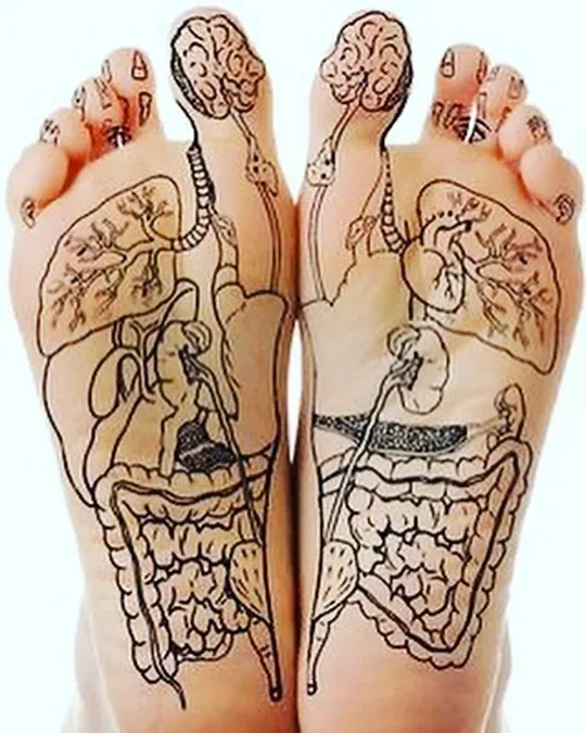 Bio SPA · foto 4