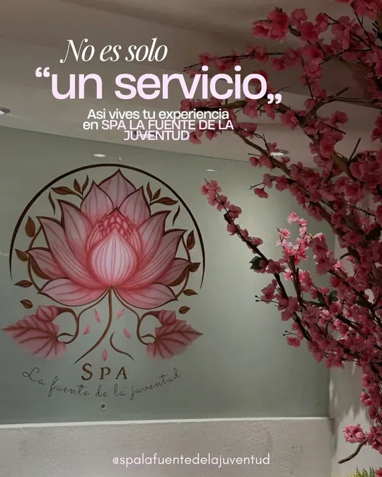 Spa la fuente de la juventud · foto 4