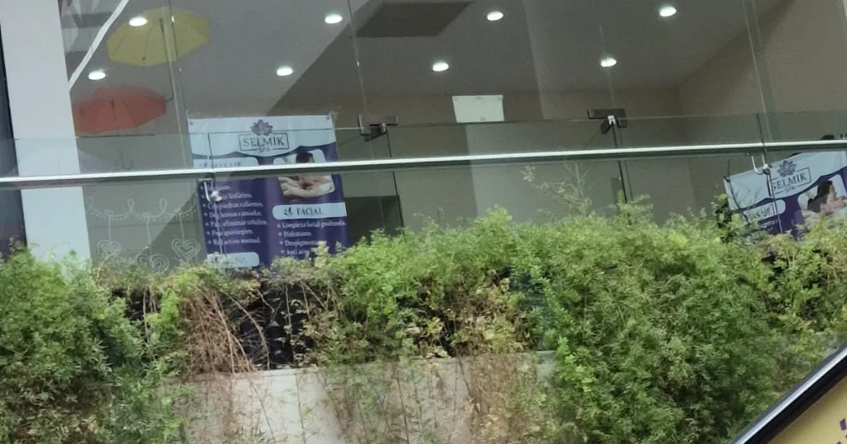 SELMIK SPA