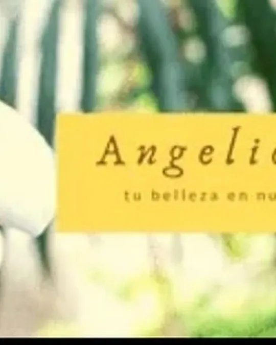 Angelical Spa · foto 3