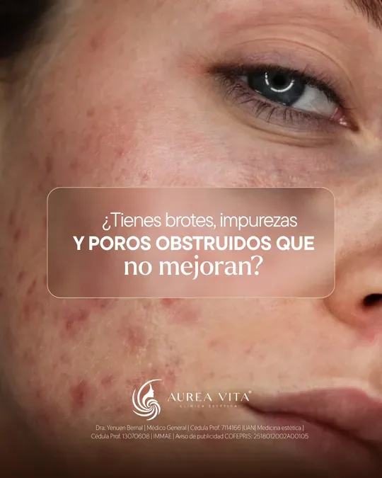 Aurea Vita · foto 2