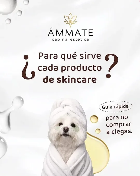 Ámmate Querétaro · foto 3