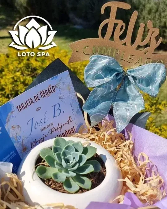 LOTO SPA · foto 2
