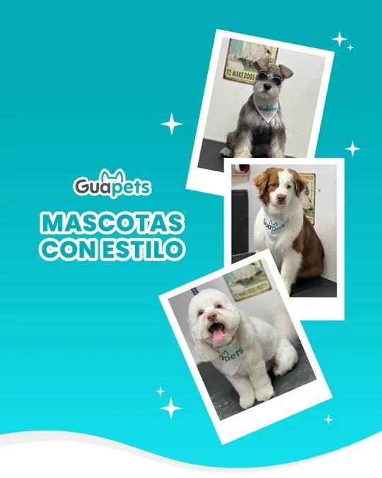 Geo Spa · foto 3