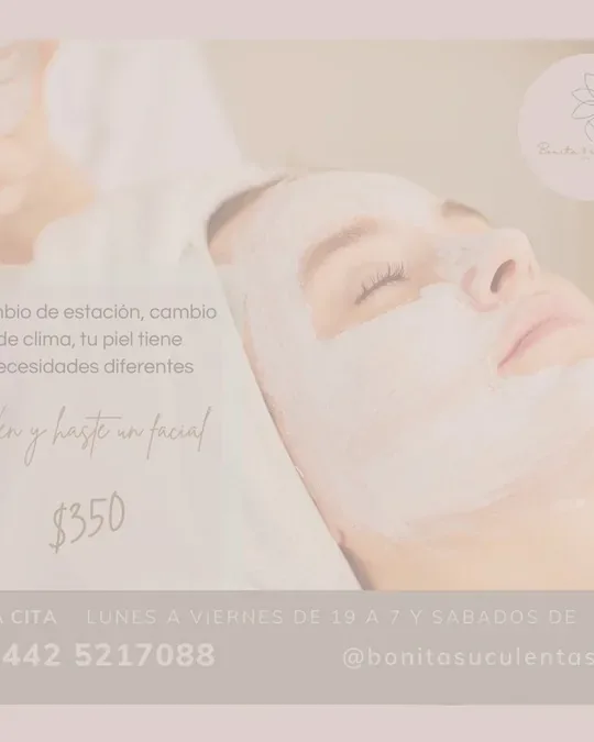Bonita & suculenta SPA · foto 3