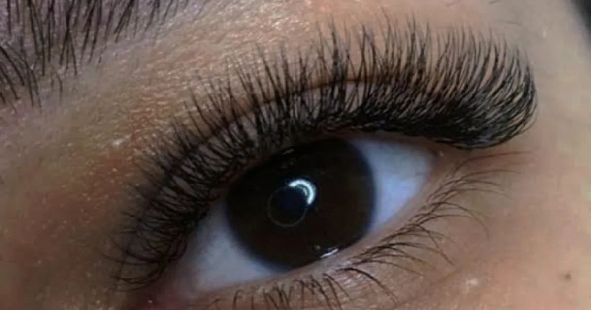 Lau lashes